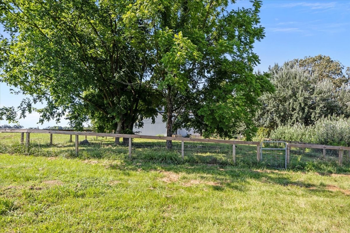 1030 Upper Creek Road Vanleer, TN 37181 - Photo 37 of 38 a view of a park with a large tree