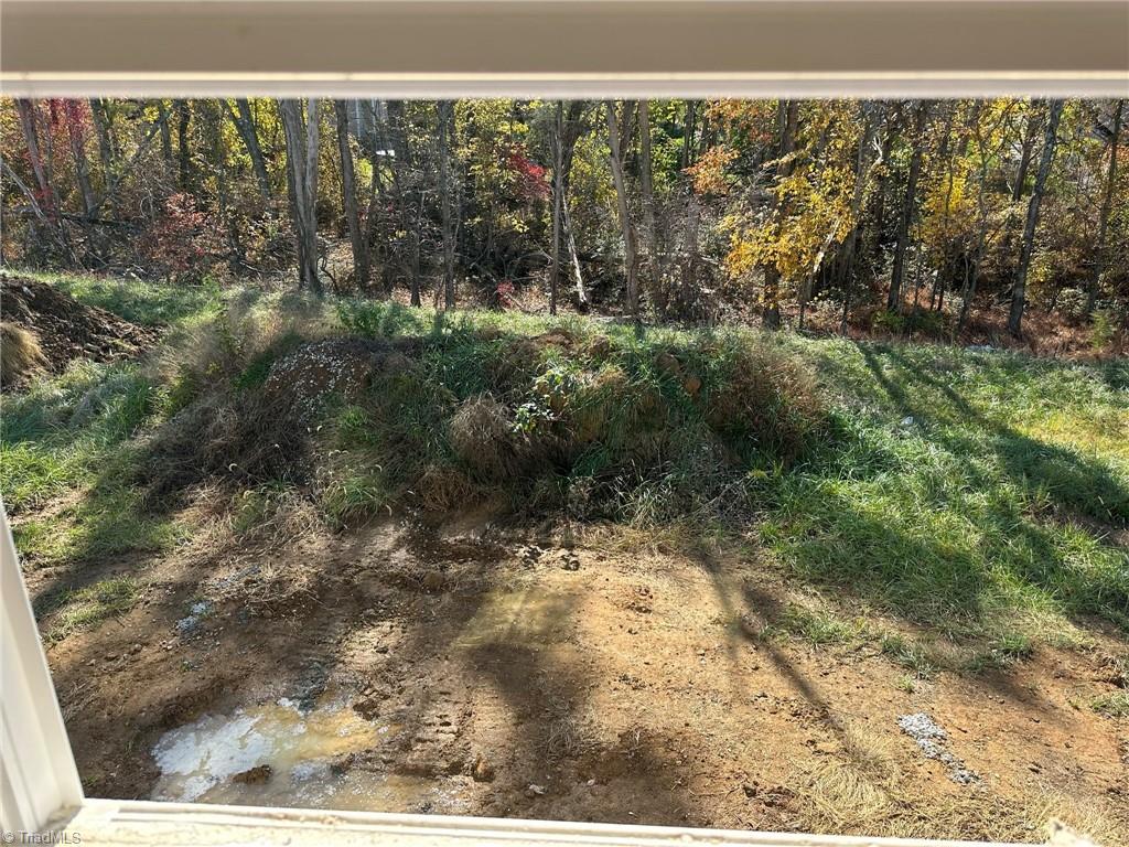 3256 Alyssa Way High Point, NC 27265 - Photo 16 of 26