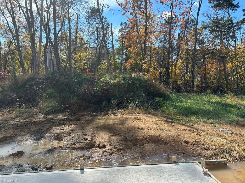 3256 Alyssa Way High Point, NC 27265 - Photo 7 of 26 Backs to wooded area