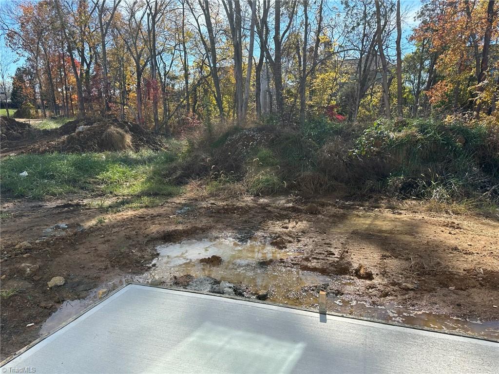 3256 Alyssa Way High Point, NC 27265 - Photo 8 of 26 Patio off great room