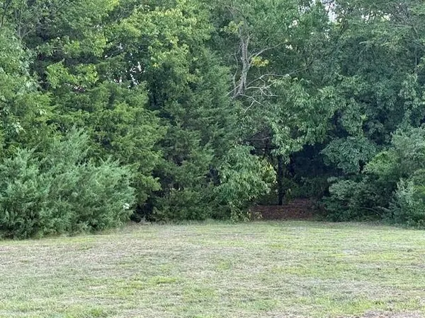 a view of a green yard