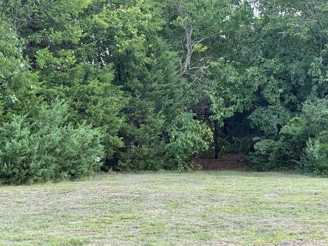751 Southeast 1st Street Cooper, TX 75432 - Photo 12 of 16 a view of a green yard