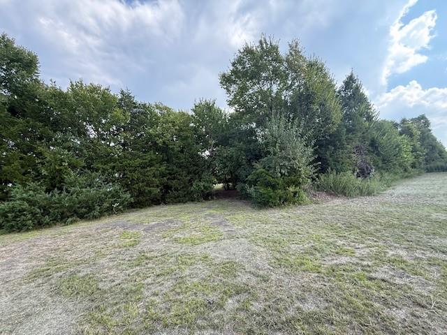 751 Southeast 1st Street Cooper, TX 75432 - Photo 7 of 16 a view of an outdoor space with trees