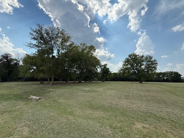 751 Southeast 1st Street Cooper, TX 75432 - Photo 8 of 16 a view of a field with trees