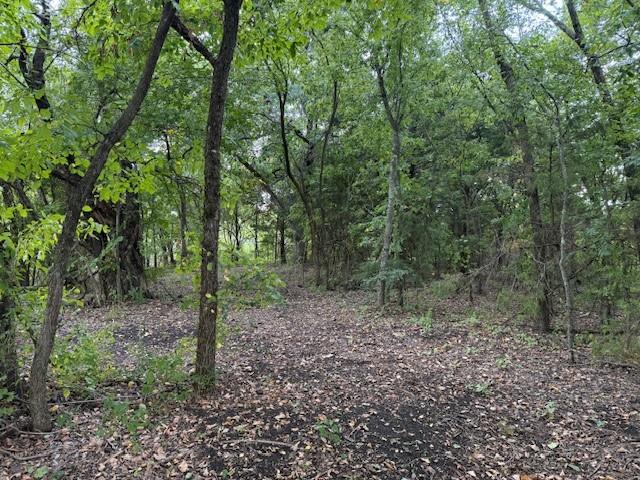 751 Southeast 1st Street Cooper, TX 75432 - Photo 10 of 16 a view of a forest that has large trees