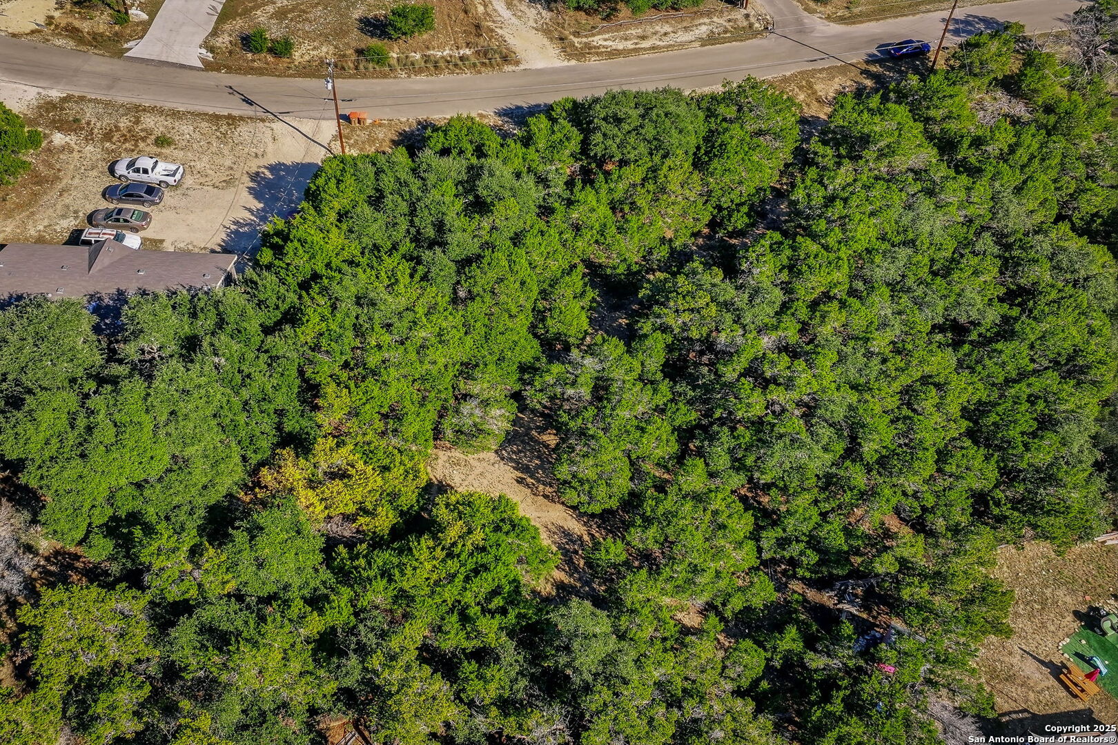 354 Buck Run Pass Canyon Lake, TX 78133 - Photo 6 of 16 a view of a garden
