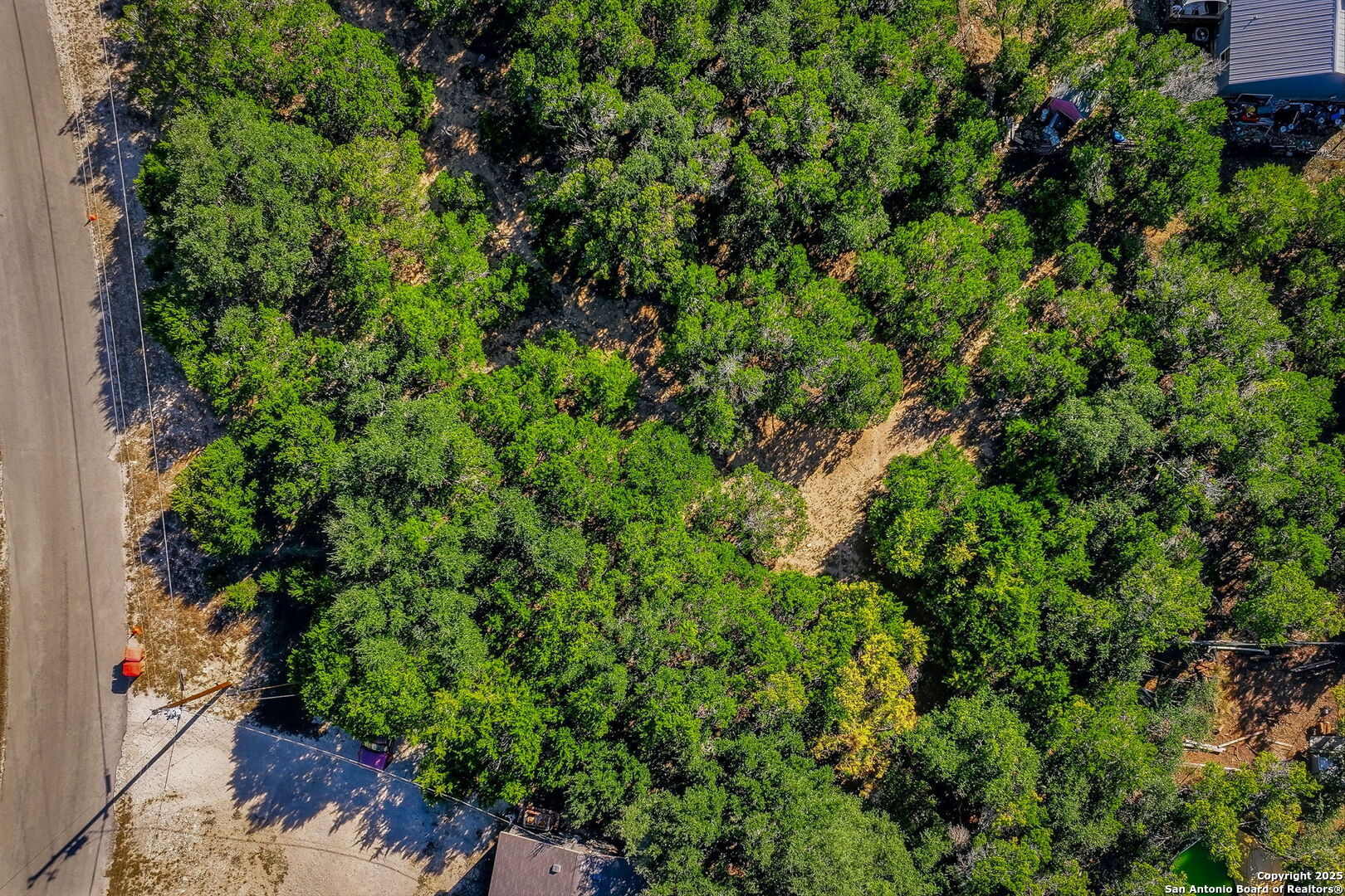 354 Buck Run Pass Canyon Lake, TX 78133 - Photo 9 of 16 a view of a plant in a garden