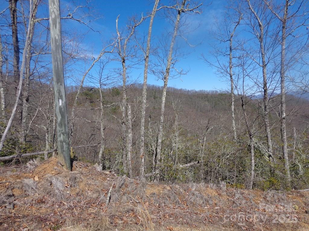 Lot 70 Longview Ridge, Unit 70 Sylva, NC 28779 - Photo 11 of 12 a view of a forest filled with trees