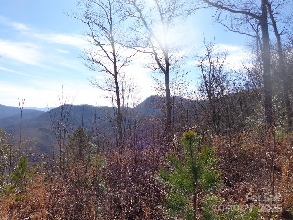 Lot 70 Longview Ridge, Unit 70 Sylva, NC 28779 - Photo 3 of 12 a view of a back yard