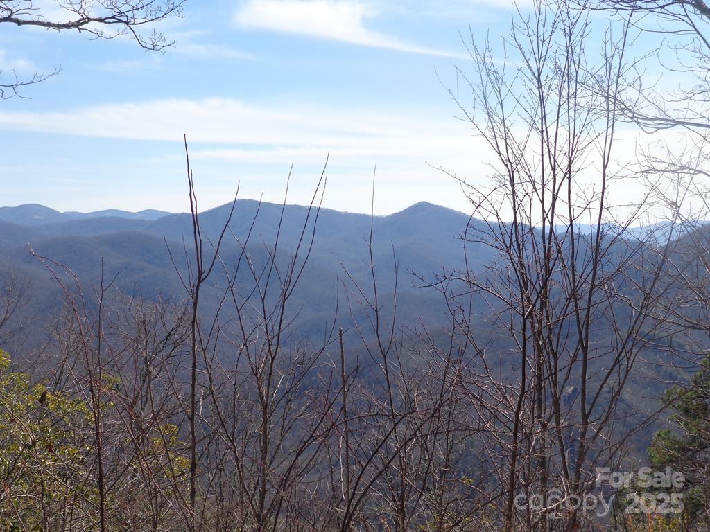Lot 70 Longview Ridge, Unit 70 Sylva, NC 28779 - Photo 5 of 12 a view of a backyard
