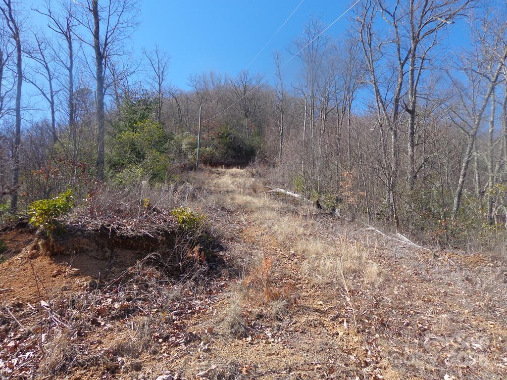 Lot 70 Longview Ridge, Unit 70 Sylva, NC 28779 - Photo 7 of 12 a view of a yard with trees