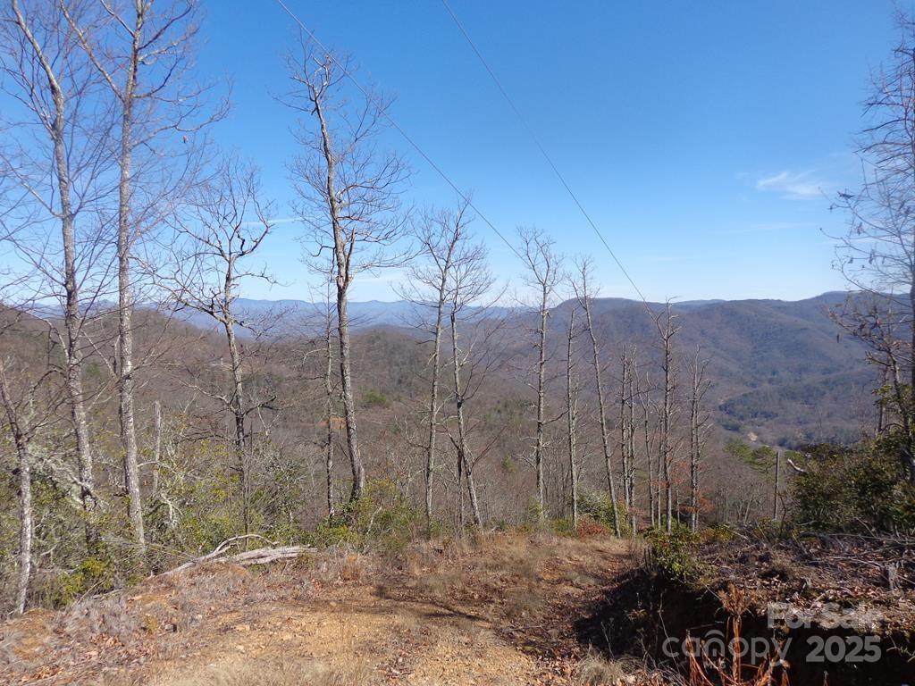 Lot 70 Longview Ridge, Unit 70 Sylva, NC 28779 - Photo 8 of 12 a view of a dry yard with trees