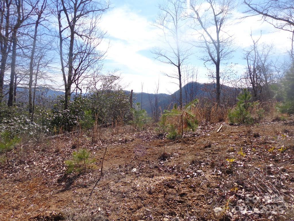 Lot 70 Longview Ridge, Unit 70 Sylva, NC 28779 - Photo 9 of 12 a view of a yard covered with trees