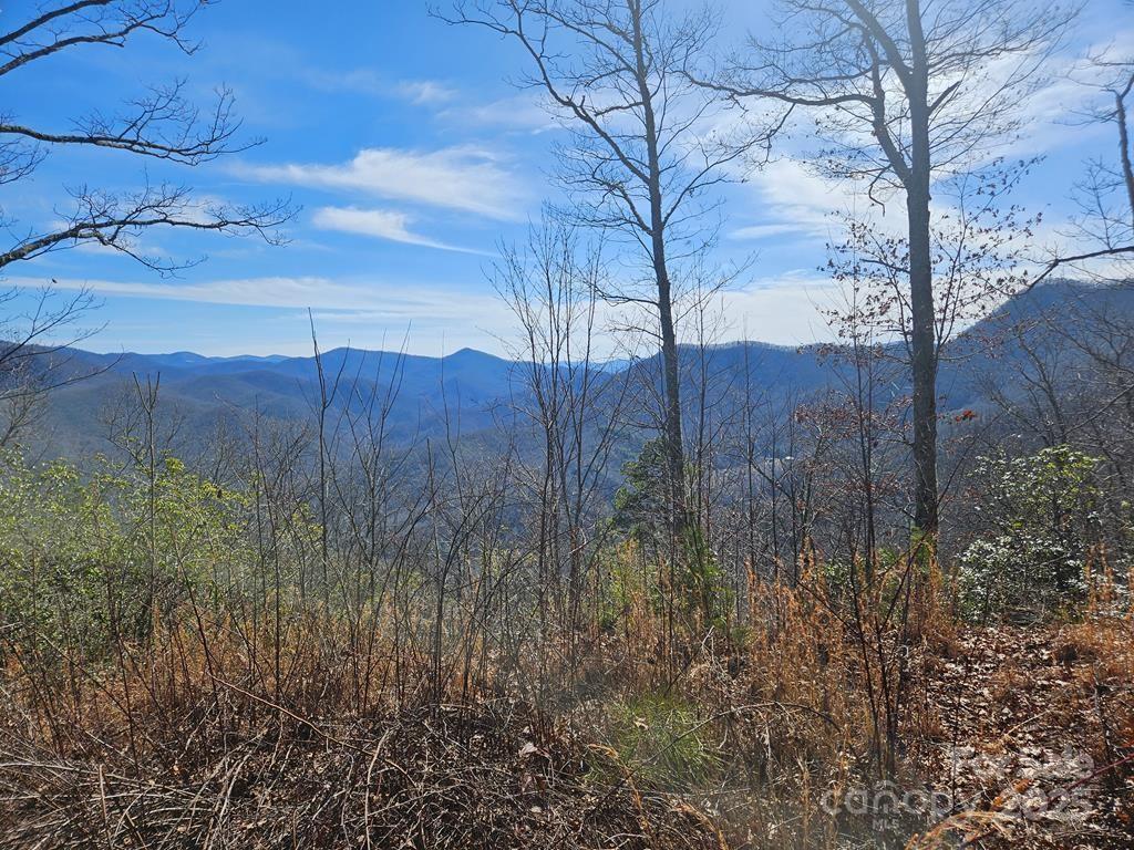 Lot 70 Longview Ridge, Unit 70 Sylva, NC 28779 - Photo 10 of 12 a view of a yard