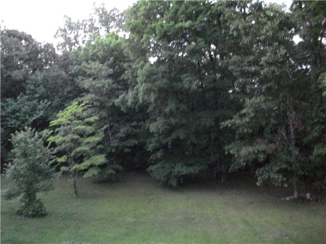 1174 Dimple Road Chapmansboro, TN 37035 - Photo 4 of 20 private back yard