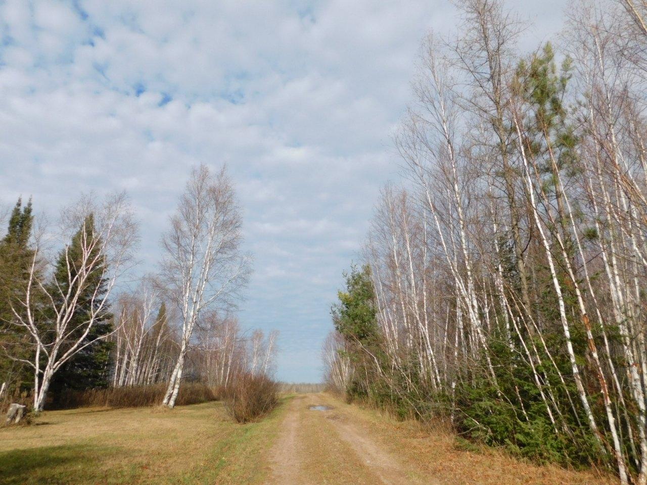 5948 Larson Road Winter, WI 54896 - Photo 26 of 30 Gallery Image 26