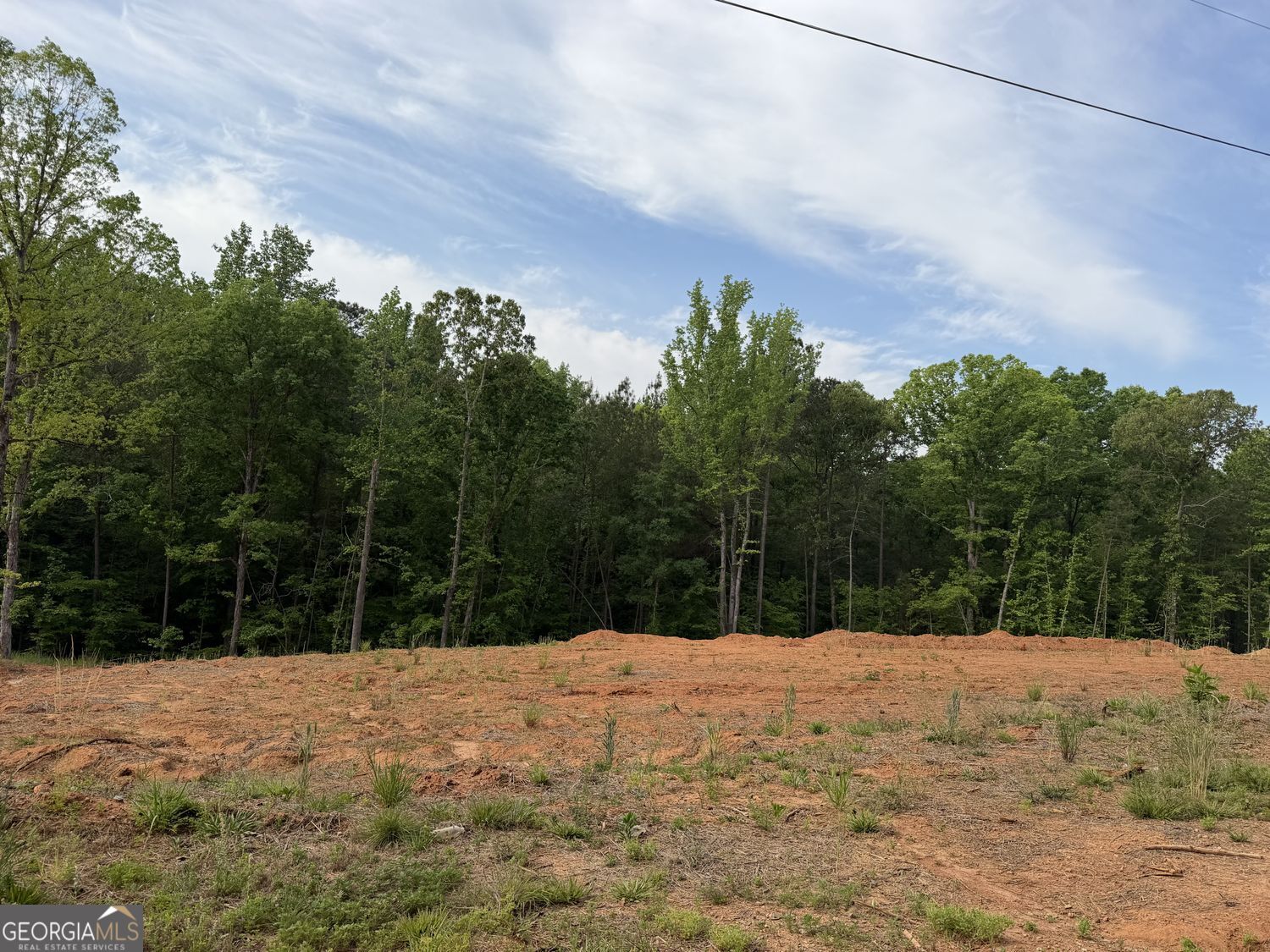 1492 English Road Forsyth, GA 31029 - Photo 3 of 4 a view of a yard with a tree