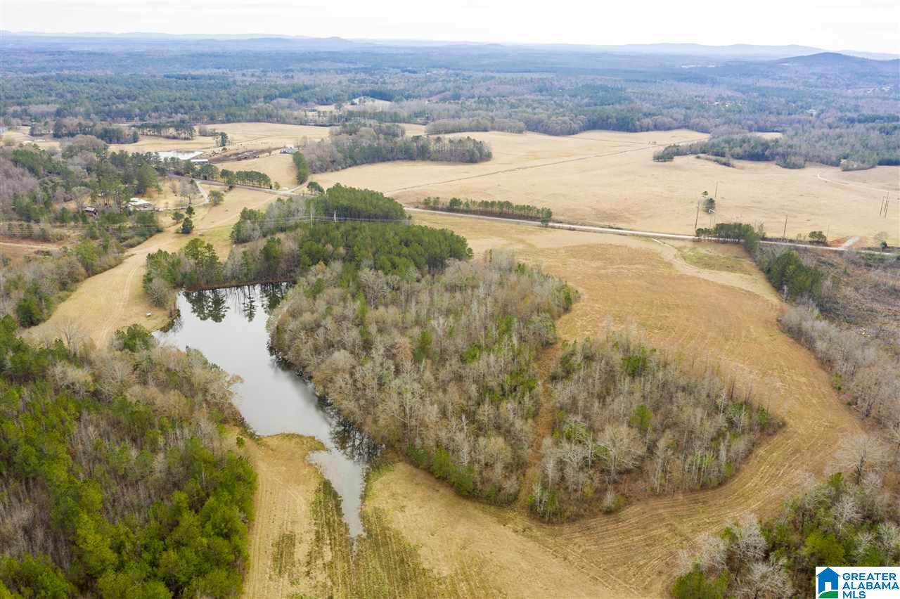 0 Constellation Avenue, Unit 1 Alpine, AL 35014 - Photo 14 of 34