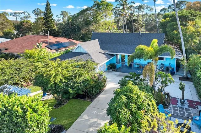 a view of a garden with plants