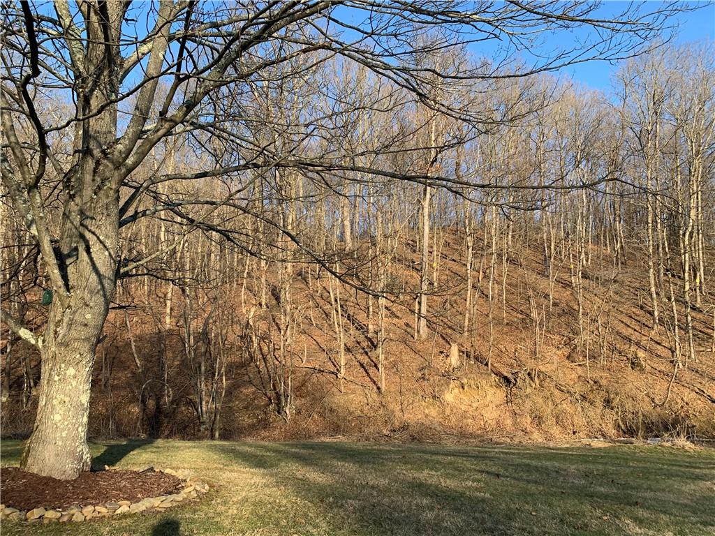 1708 Dime Road Vandergrift, PA 15690 - Photo 5 of 25 a view of a yard with wooden fence