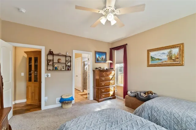 a bedroom with furniture and closet