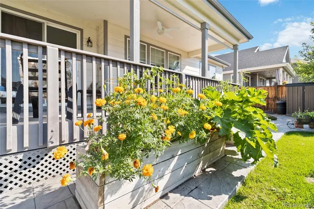 a view of a back yard of the house