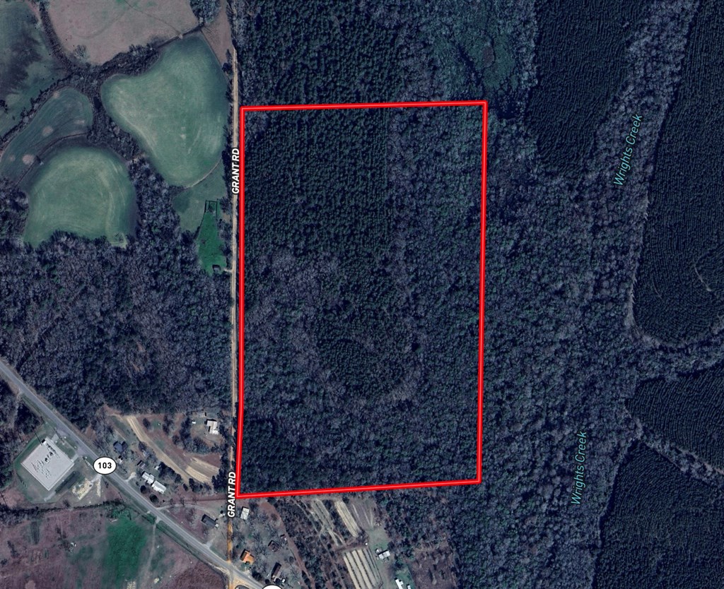 Undisclosed Address Slocomb, AL 36375 - Photo 22 of 23