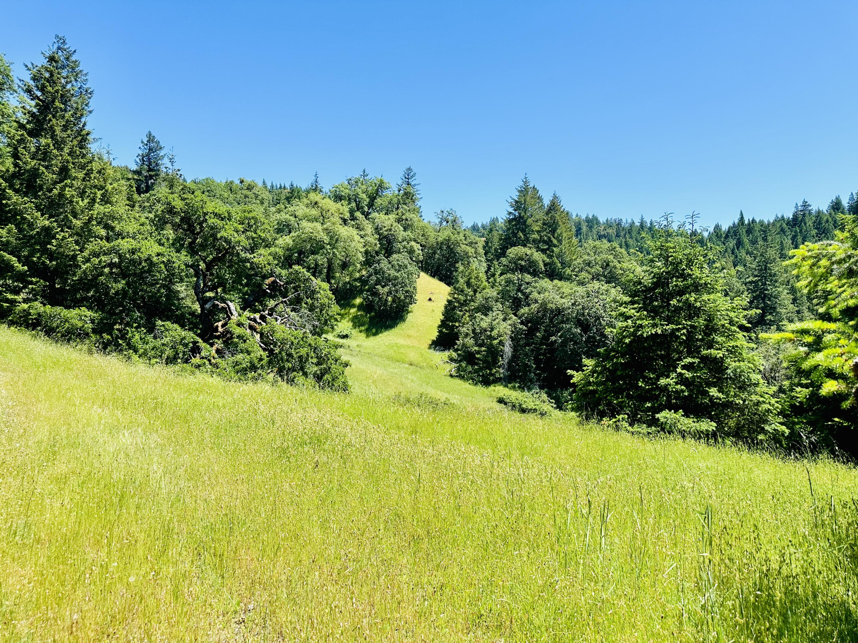 400 Seely Creek Road Redway, CA 95560 - Photo 65 of 73