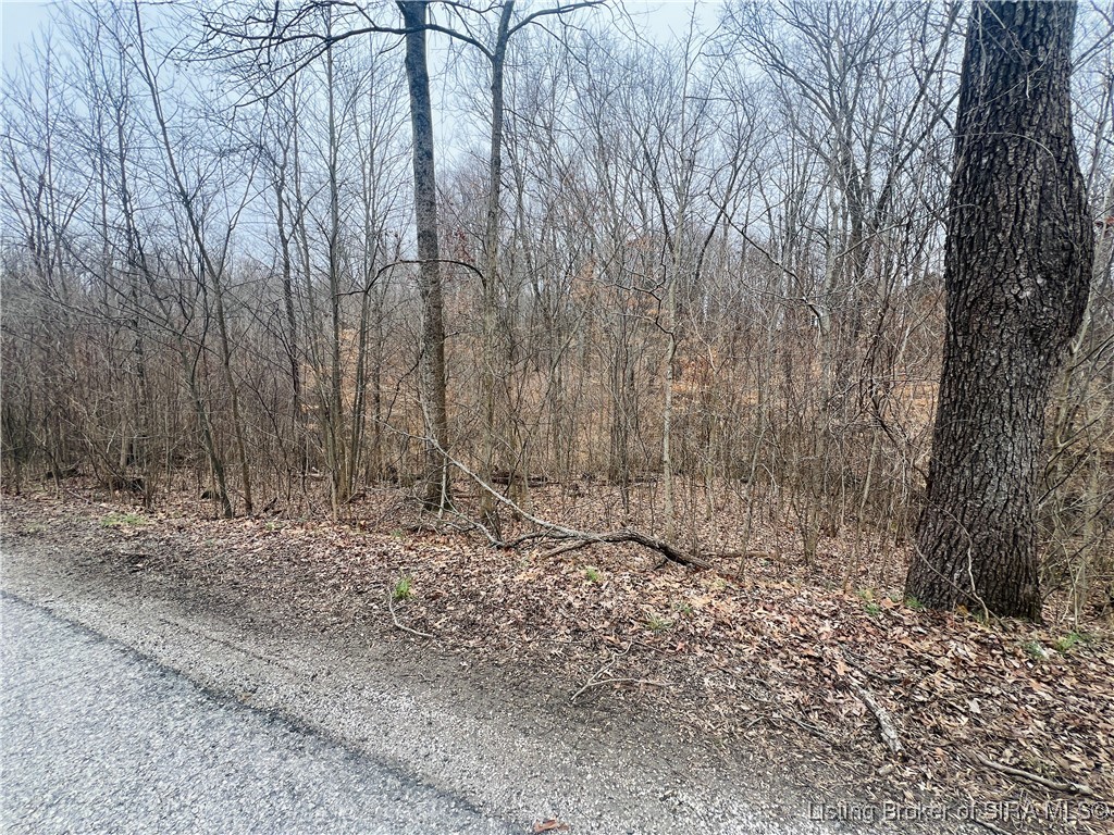 North Brownstown Road English, IN 47118 - Photo 5 of 9