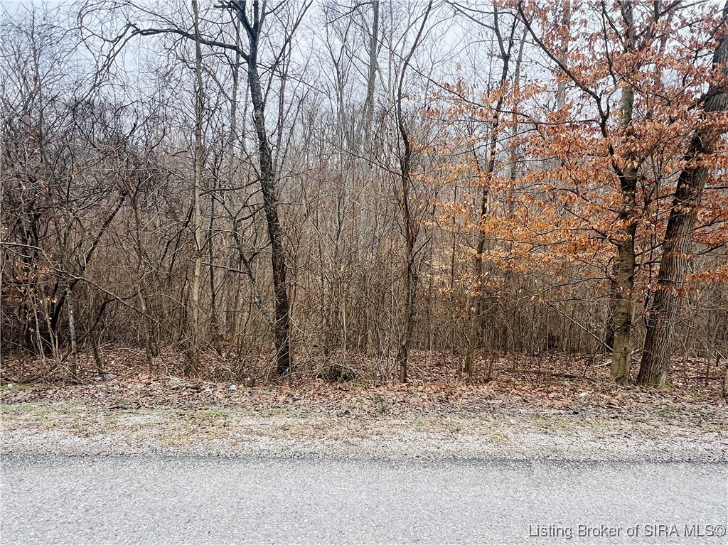 North Brownstown Road English, IN 47118 - Photo 6 of 9
