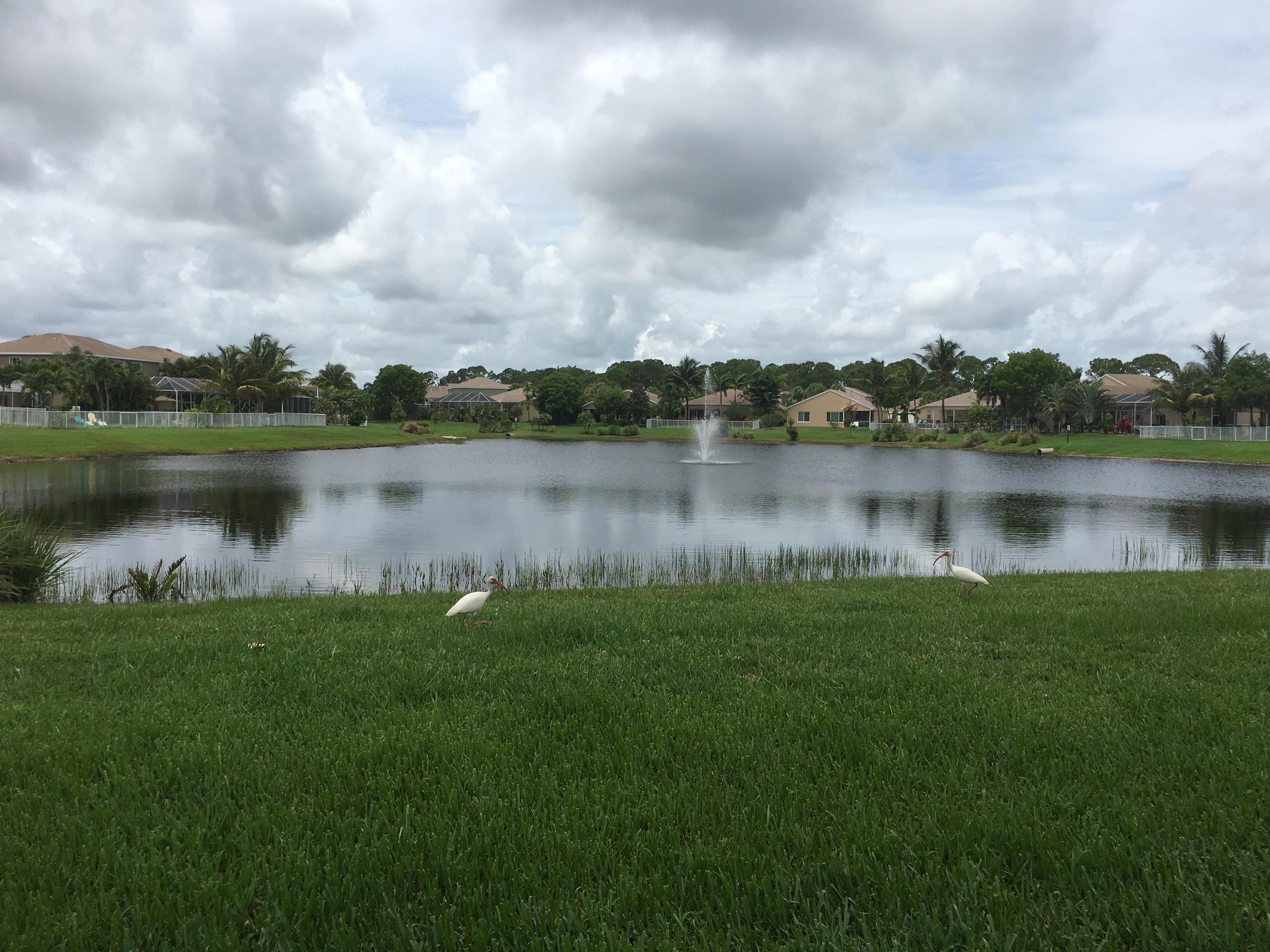 2486 Southeast Springtree Place Stuart, FL 34997 - Photo 42 of 43 IMG_2990