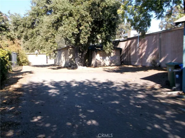 a view of a yard with a tree
