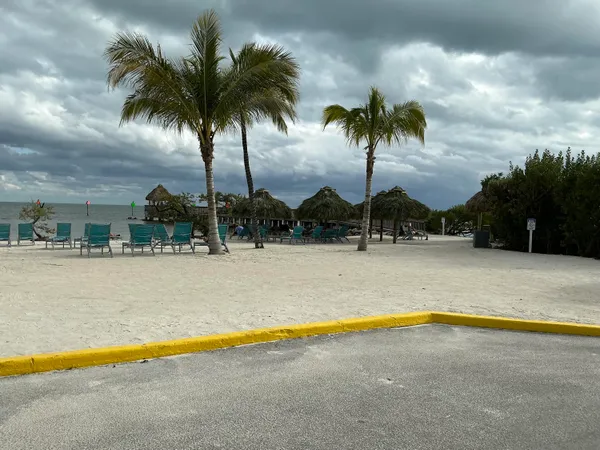 a view of swimming pool with palm trees