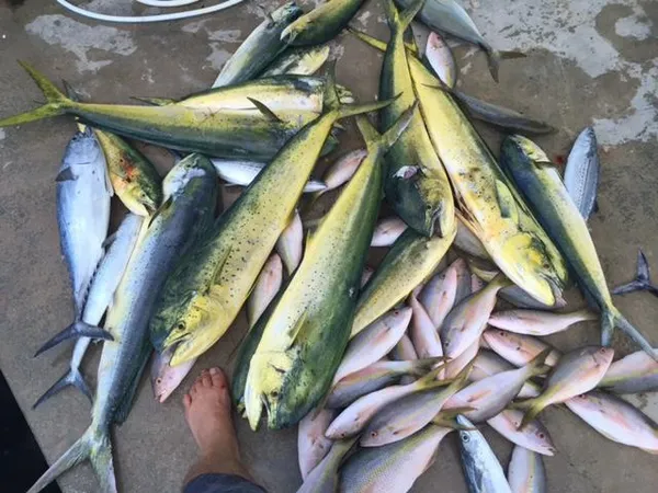 a view of outdoor space yard and patio