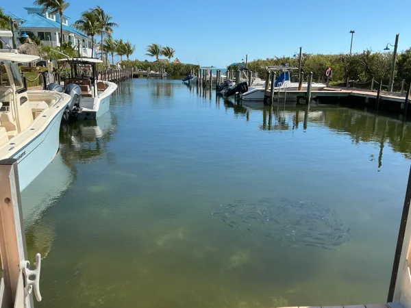 a view of a lake with boats and trees in the background