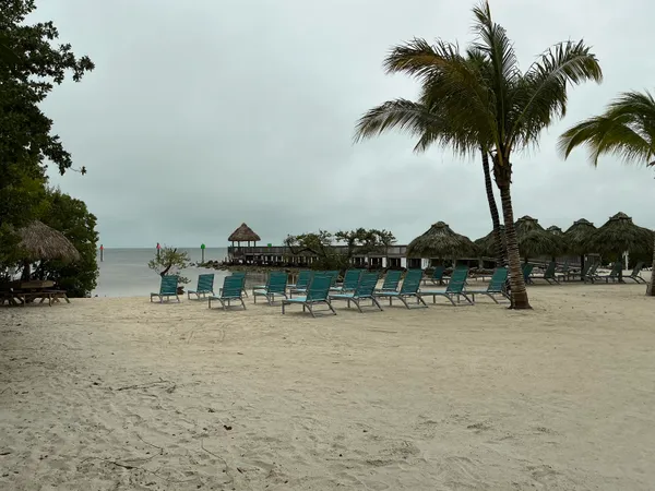 a view of an ocean and beach