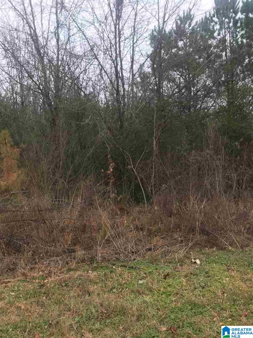 1070 Park Road, Unit 21 Bessemer, AL 35023 - Photo 1 of 1