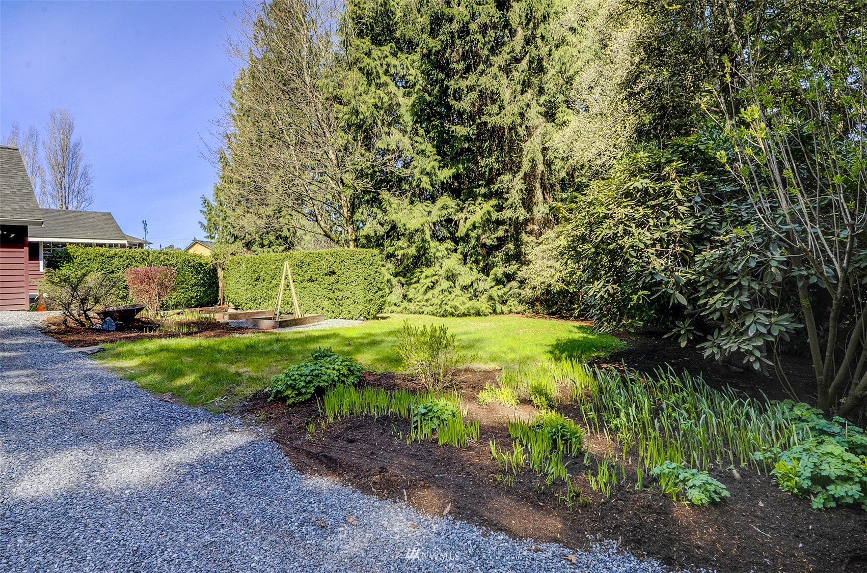 20414 West Richmond Road Bothell, WA 98021 - Photo 26 of 30 a view of a yard with large trees