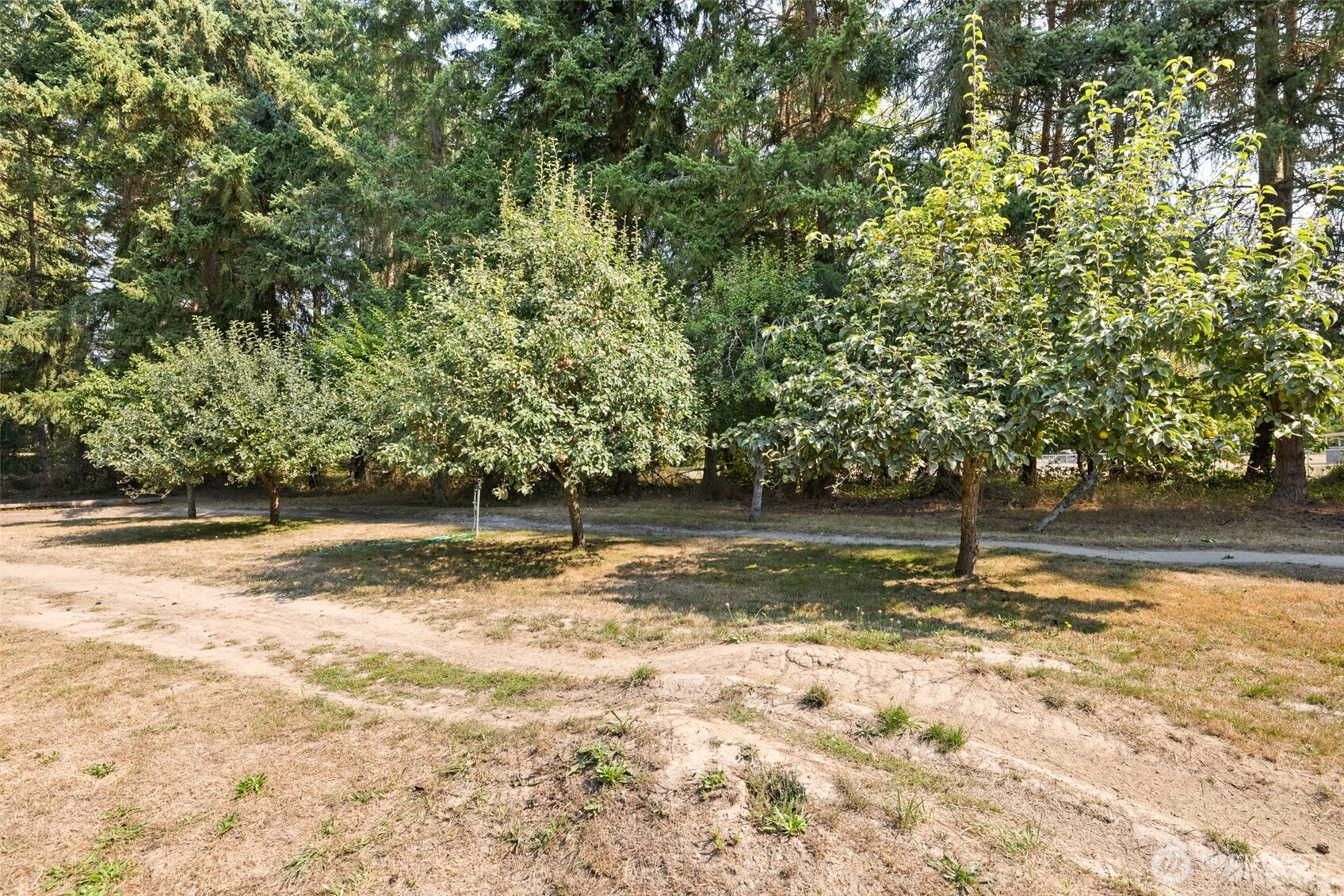 533 Hulse Road Port Angeles, WA 98362 - Photo 30 of 40 Gallery Image 30