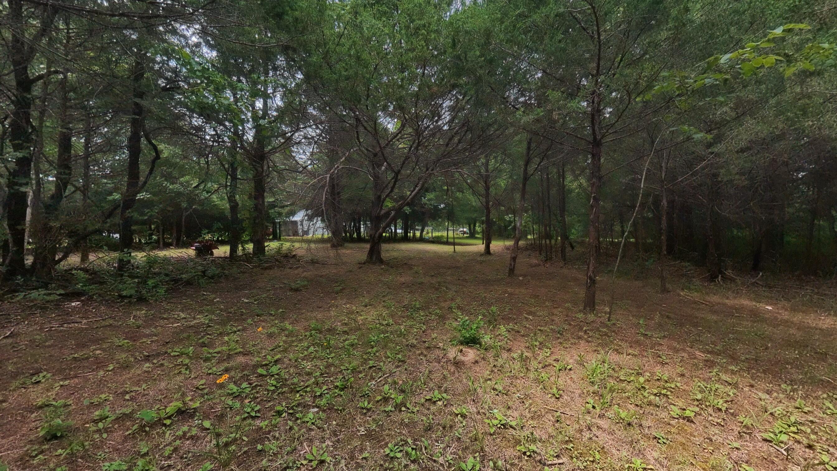 3261 North Camp Creek Road Mammoth Spring, AR 72554 - Photo 25 of 38 Home on a 12+ acre hobby farm032