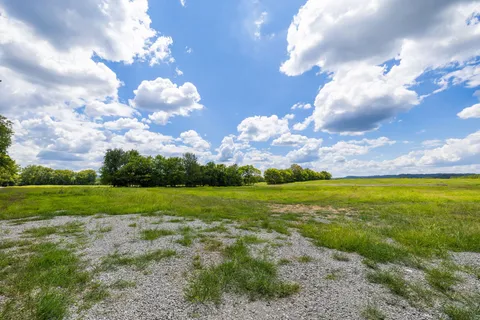 a view of a big yard with lots of green space