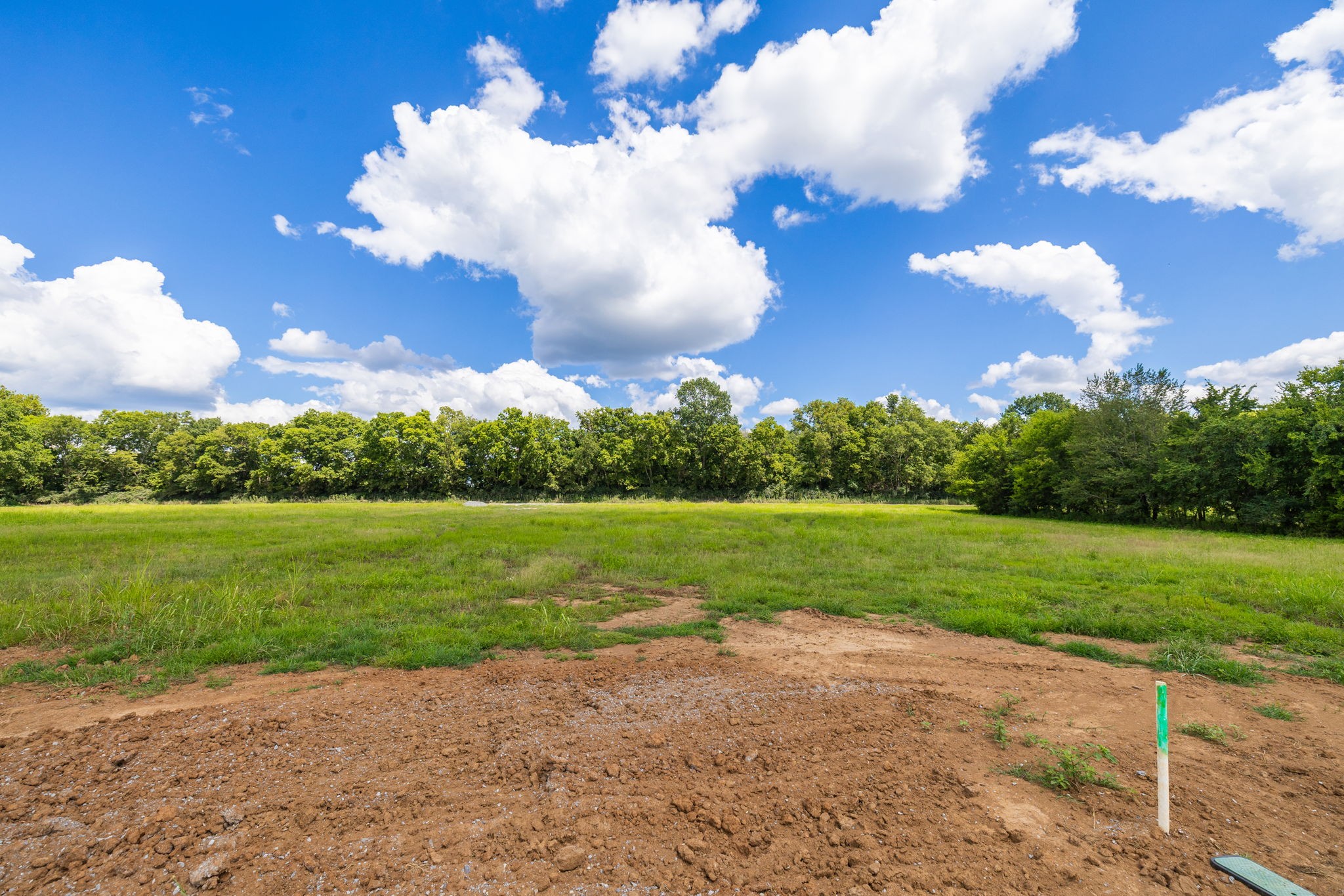 3410 Overhill Gardens Franklin, TN 37064 - Photo 18 of 21 a view of a yard with a house