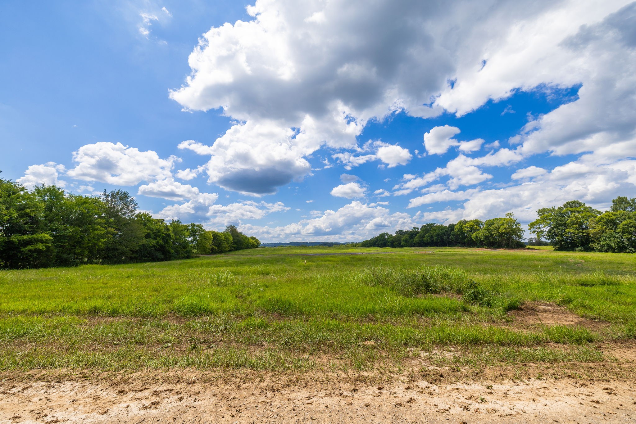 3410 Overhill Gardens Franklin, TN 37064 - Photo 19 of 21 a view of a big yard with lots of green space