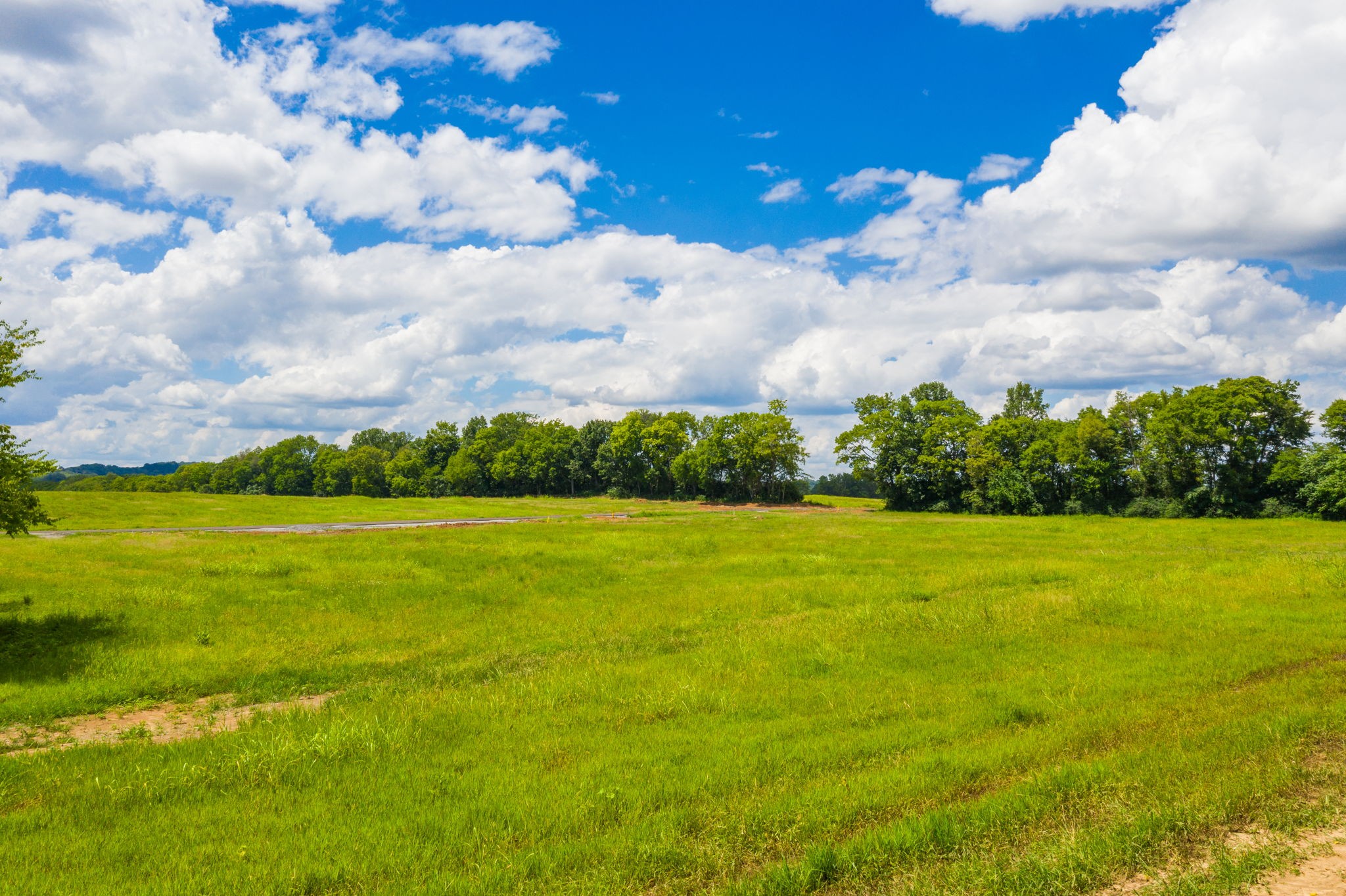 3410 Overhill Gardens Franklin, TN 37064 - Photo 20 of 21 a view of an ocean from a yard