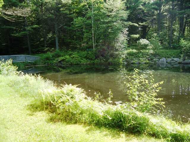 18 South Reynolds Road Winslow, ME 04901 - Photo 21 of 25 Yard/Garden.