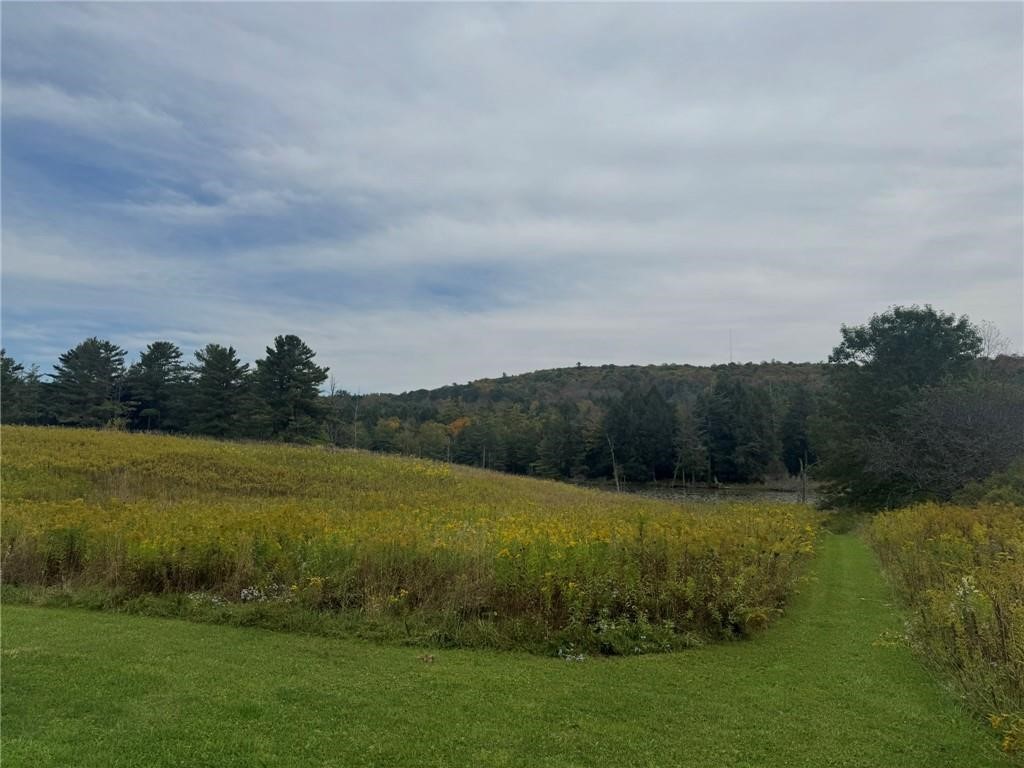 146 Blower Road Guilford, NY 13780 - Photo 11 of 45