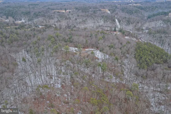 a view of a dry yard with trees