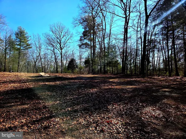 a view of road with covered with large trees