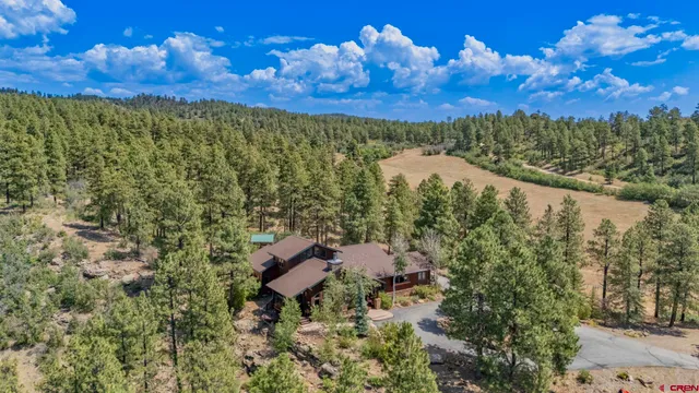 a view of a lake with a mountain