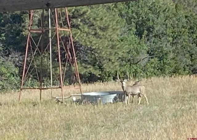 a view of water view